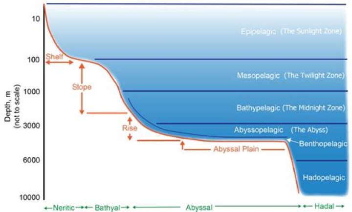 Unveiling The Depths Of A Complex Character